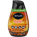 Renuzit Adj Hawaiian Oasis (BLK) - 7.0oz/12pk