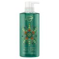 Safeguard Hand Wash - Frosted Citrus Scent - 15.5oz/4pk