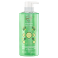 Safeguard Hand Soap Notes of Cucumber - 15.5oz/4pk