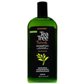 Fantasia Tea Tree Shampoo - 12oz/12pk