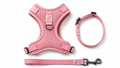 Breathable Dog Vest Harness Set, Adjustable Soft Mesh Harness with Leash & Collar